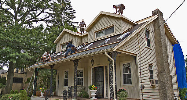 Best Metal Roofing Contractor  in Port Allen, LA